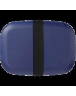 Ekobo Rectangular Bento Box