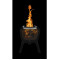 BioLite FirePit +