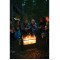 BioLite FirePit +