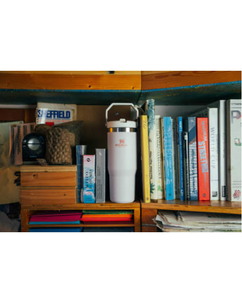Stanley IceFlow™ Flip Straw Tumbler 30oz Stanley IceFlow™ Flip Straw Tumbler 30oz