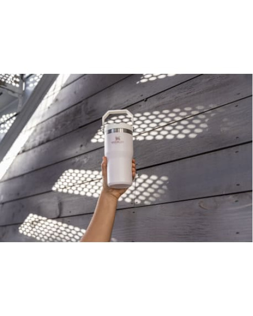 Stanley IceFlow™ Flip Straw Tumbler 20oz Stanley IceFlow™ Flip Straw Tumbler 20oz