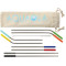 Reusable Stainless Straw 10 in 1 set