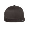 Pro-Baseball On Field Cap