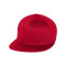 Pro-Baseball On Field Cap