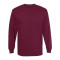 Unisex Heavyweight Cotton Long Sleeve Tee