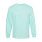 Unisex Heavyweight Cotton Long Sleeve Tee