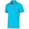 Polo divisional