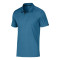 Polo divisional