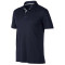 Polo divisional