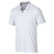 Polo divisional