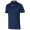 Polo divisional