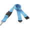 Hang In There Lanyard