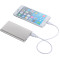 Sleek Aluminum 4000 mAh Power Bank