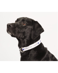 Full Color 1" Wide Adjustable Pet Collar