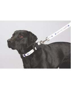 Full Color 1" Wide Premium Pet Leash