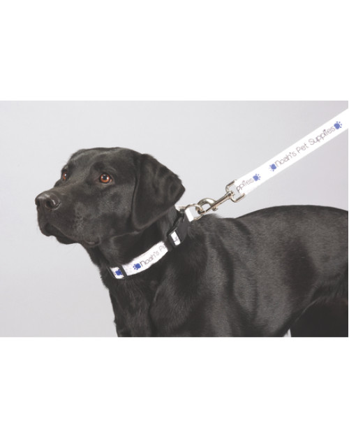 Full Color 1" Wide Premium Pet Leash Full Color 1" Wide Premium Pet Leash