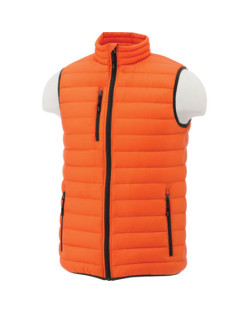 Men's Whistler Light Down Vest