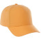 Unisex DOMINATE Ballcap