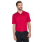 CrownLux Performance™ Men's Tall Plaited Polo