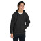 Sweat à capuche épais unisexe Zone HydroSport™ à quart de zip